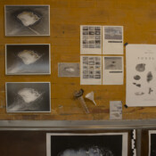 Ausstellungsansicht